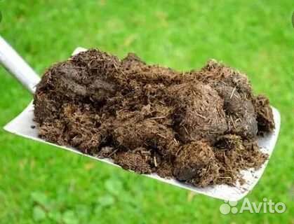 Конский навоз,перегной доставка навалом и в мешках