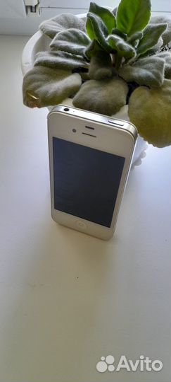 iPhone 4s (забронирован)