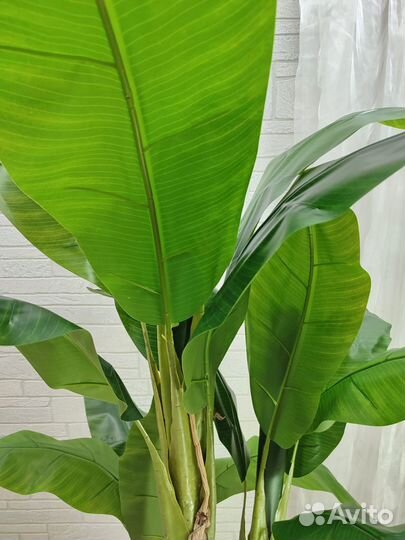 Пальма банановая искусственная