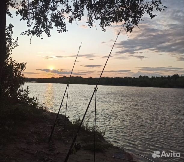 Комплект удилищ с катушками (донки)