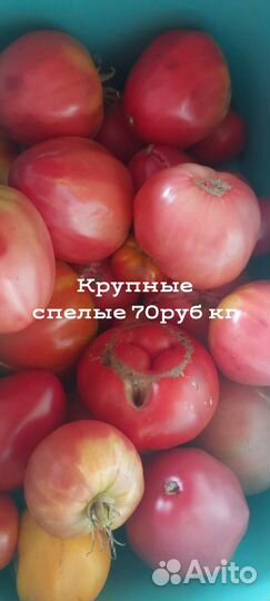 Помидоры свежие