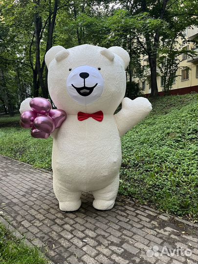 Мишка Тедди на Ваш Праздник