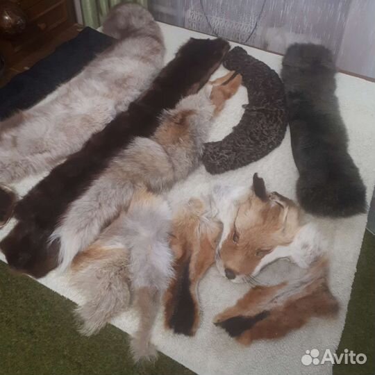 Шкурки животных