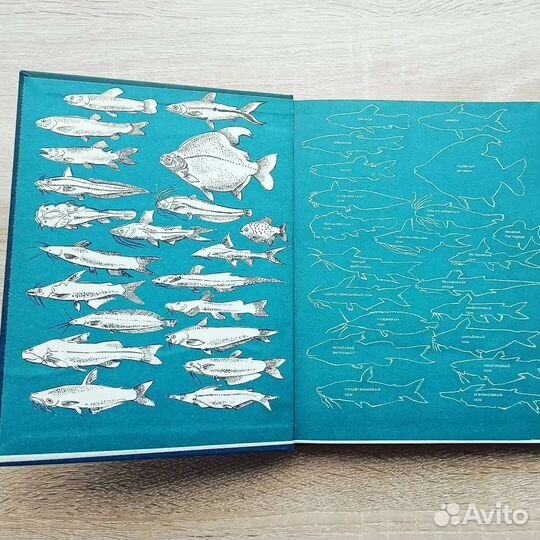 Книги о рыбах