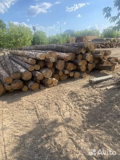 Круглый лес сосна