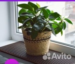 Коврики EVA (для авто, для дома/дачи, для животных