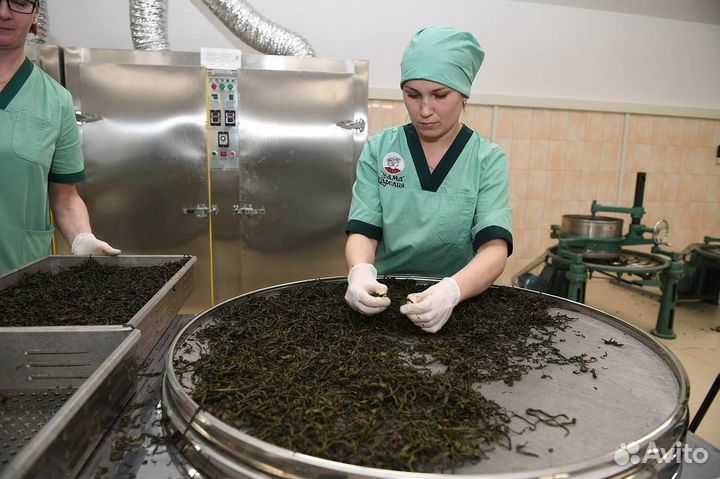 Фасовщик(ца) чая (Вахта в Москве) с питанием 15/35