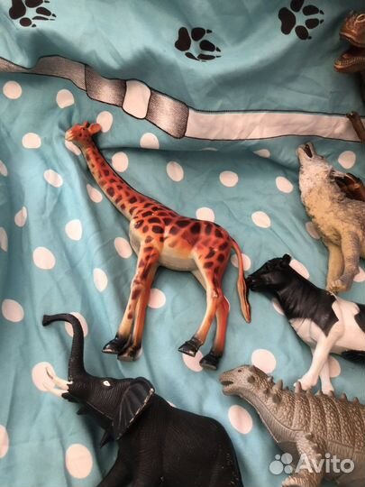 Животные разные