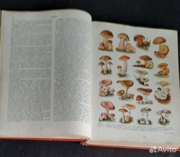 Популярная медицинская энциклопедия, СССР