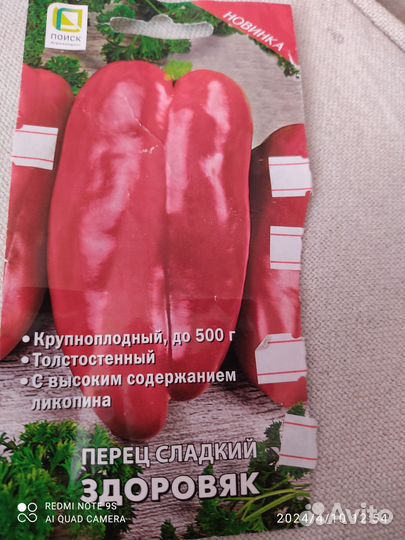 Рассада томатов