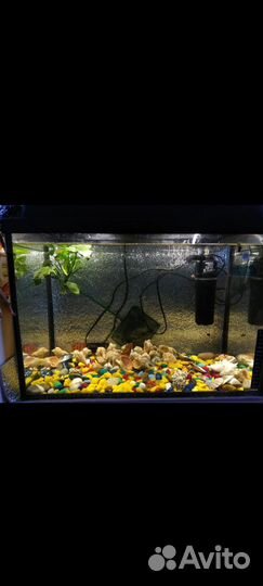 Аквариум
