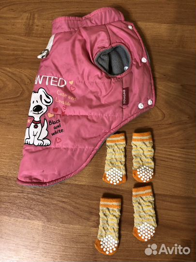 Одежда для маленькой собаки