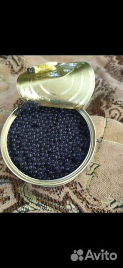 Красная икра