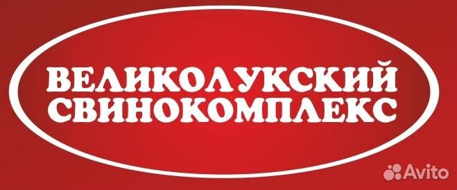Охранник службы контроля