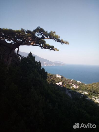 Пешеходные экскурсии по Ялте и окрестностям