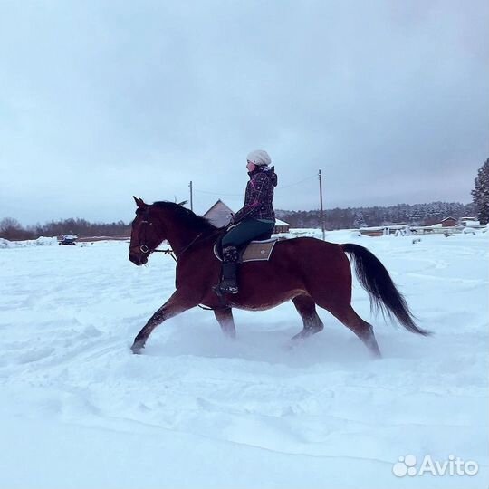 Личный водитель