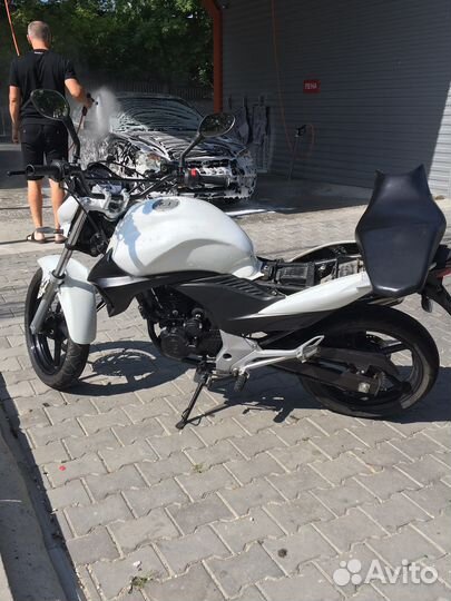 Stels Flex 250