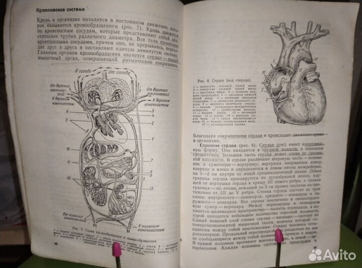 Учебное пособие для подготовки очки мед.сестер