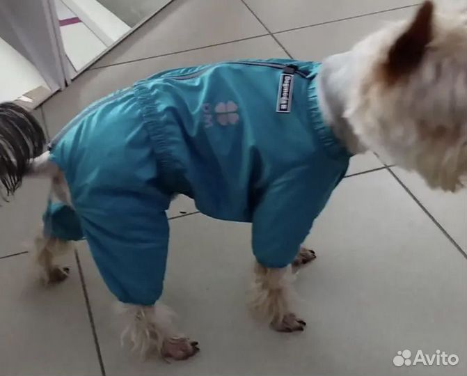 Комбинезон утепленный dogmoda р-р 2