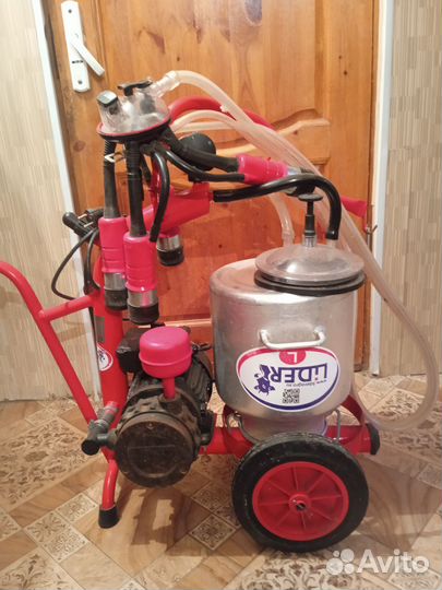 Доильный аппарат для коров