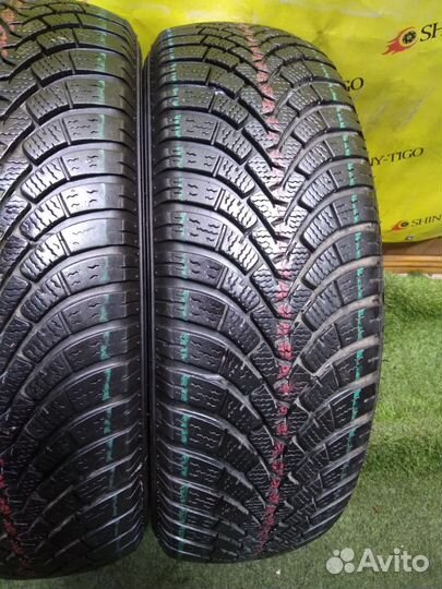 Falken Eurowinter HS01 195/65 R15 91T