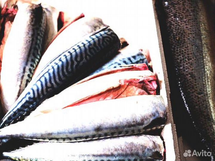 Магазин рыбы и морепродуктов