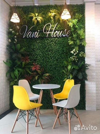 Стены, картины из стабилизированного мха