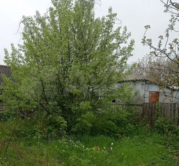 Дом 40,8 м² на участке 44 сот.