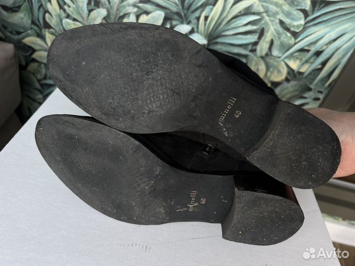 Женские сапоги minelli демисезон высокие