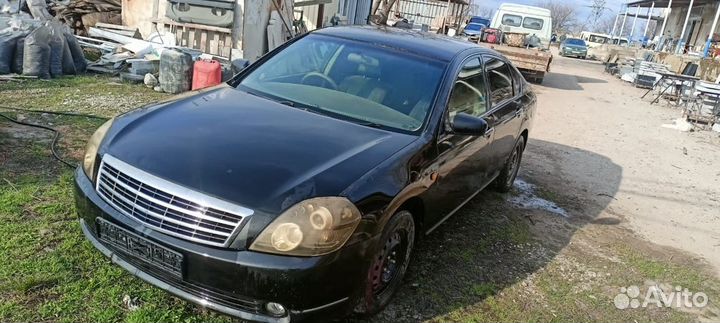 Nissan teana j32 разбор, almera