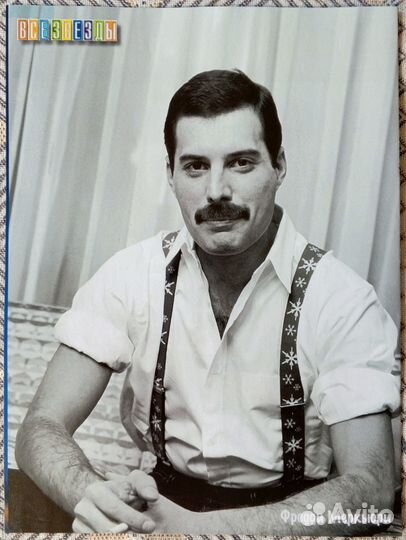 Постер, плакат с Фредди Меркьюри