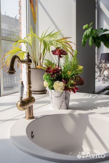 Интерьерная композиция из суккулентов