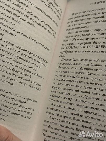 Книга Изабель Ронин 