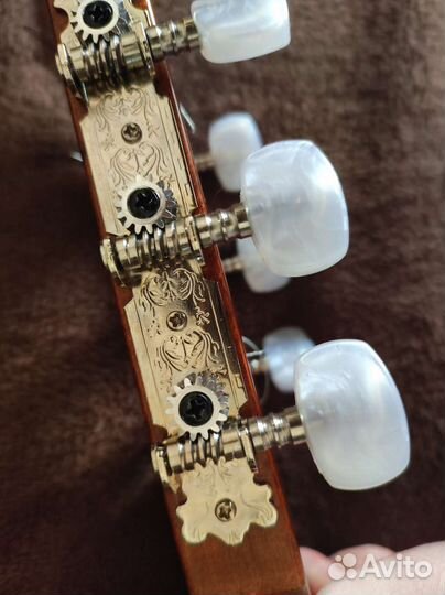 Гитара (Cort guitars модель AC100 SG)