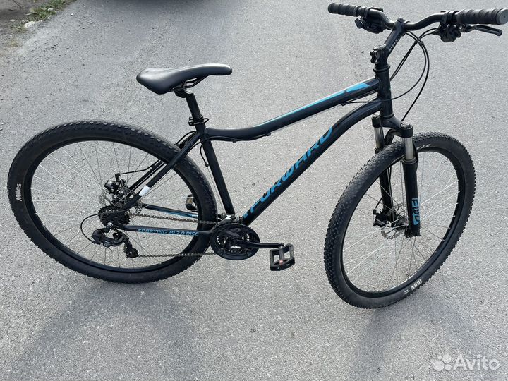 Forward sporting 29 2.0 disc