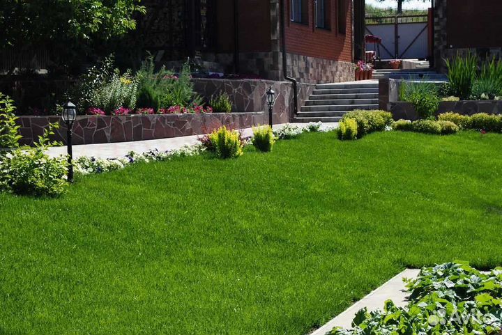 Укладка газона