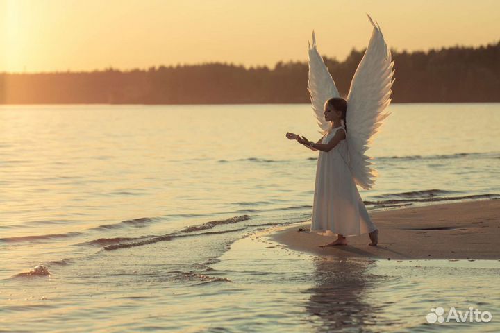 Крылья для фотосессии в аренду