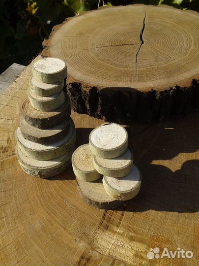 Спилы деревьев