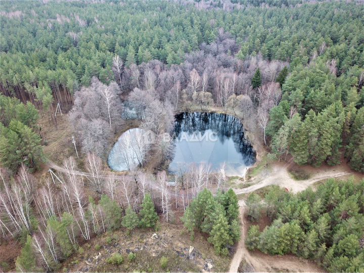 Участок 10 сот. (ИЖС)