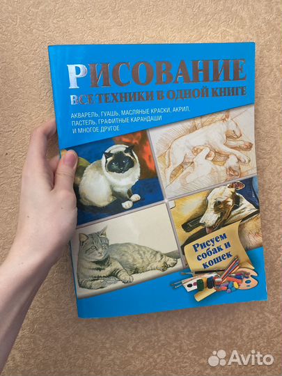 Учебное пособие по рисованию