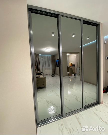 Шкаф купе с зеркалом до потолка