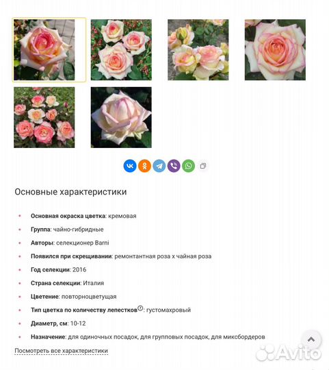 Роза Анна молинари