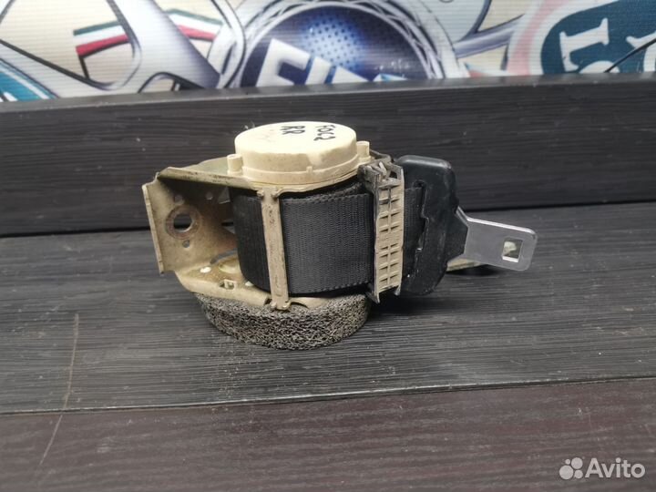 Ремень безопасности задний правый Ford Focus 2