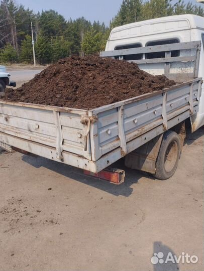 Перегной навоз