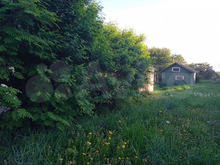 Дом 40 м² на участке 35 сот.