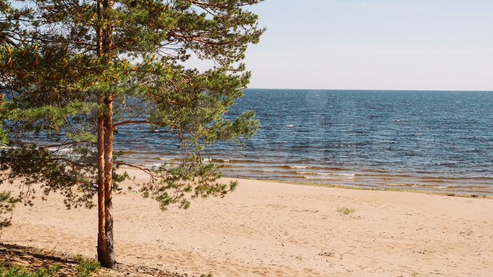 Участок 15 сот. (СНТ, ДНП)