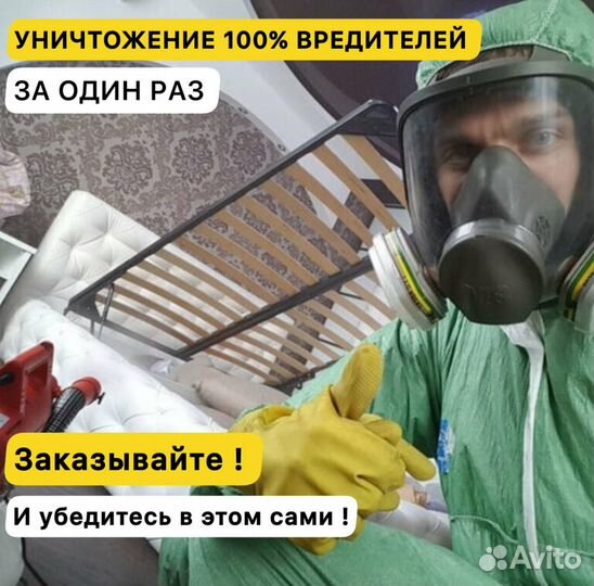 Уничтожение тараканов, Травля, Частный Мастер