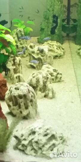 Набор камней (песчанник) для аквариума