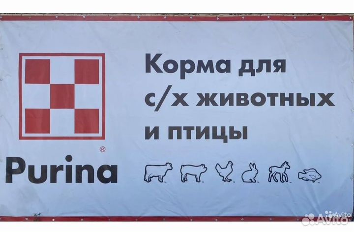 Корм для бройлеров пурина