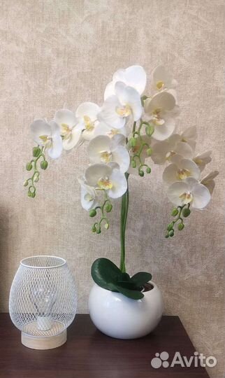 Орхидея- холодный фарфор